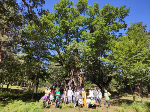 29.-Visita-al-roble-3-mojones